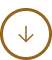 Icon Pfeil nach unten