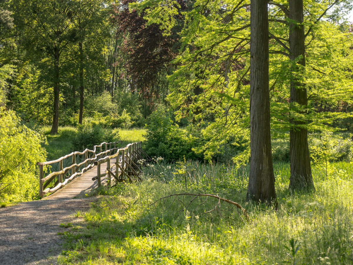 Spaziergang durch ein Gemälde ©ÖBf-Archiv/Podpera Spaziergang durch ein Gemälde ©ÖBf-Archiv/Podpera
