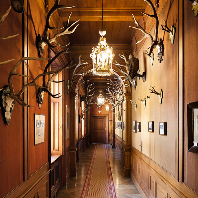 Waffengang (c)oebf/panzer