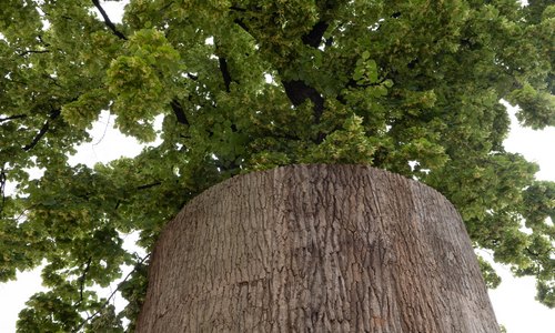 ©ÖBf/eSEL.at: Lorenz Seidler