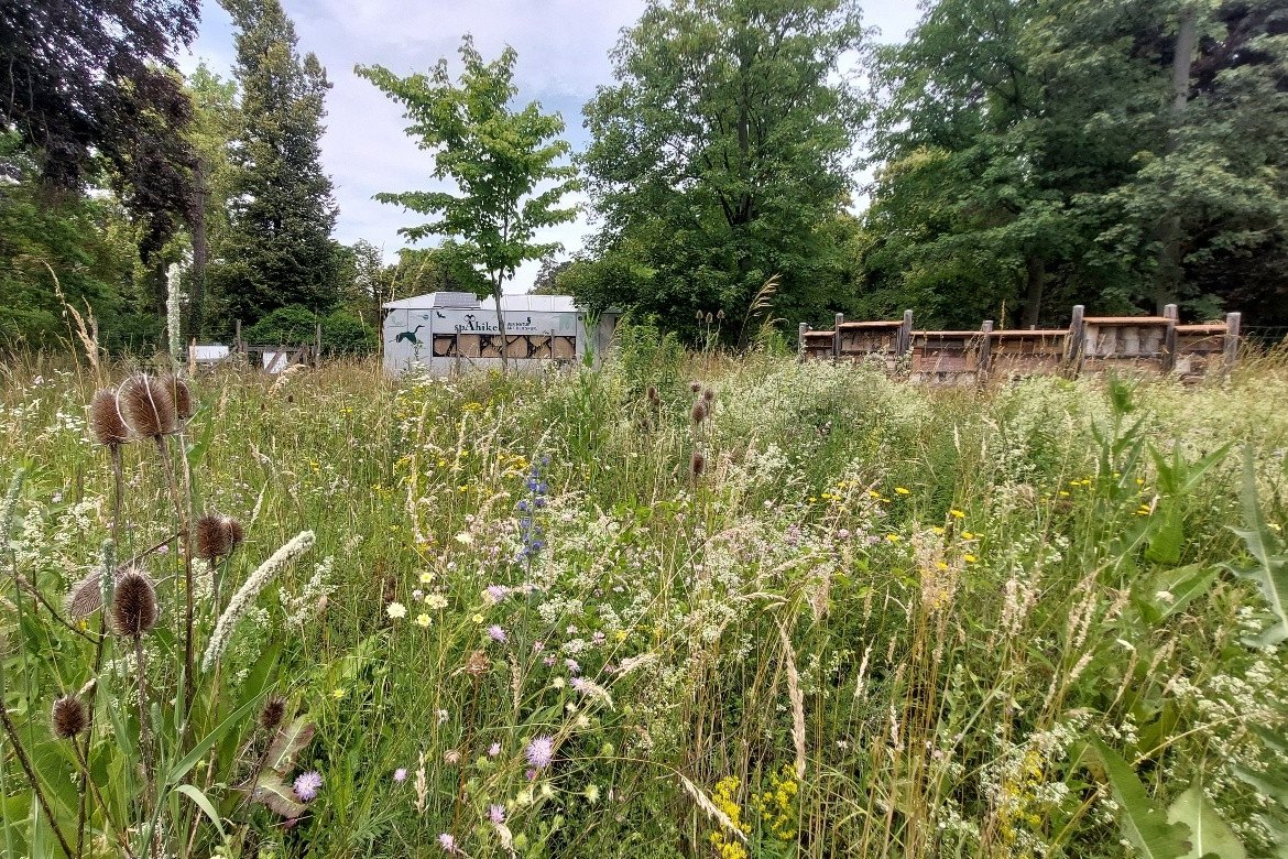 SPÄHIKEL Spurensuche im Schlosspark Eckartsau (c)oebf/c.hanreich