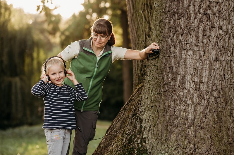 Superbäume (c)schnuhzphotography