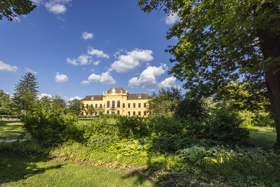 © Donautourismus, Friedl und Schmatz