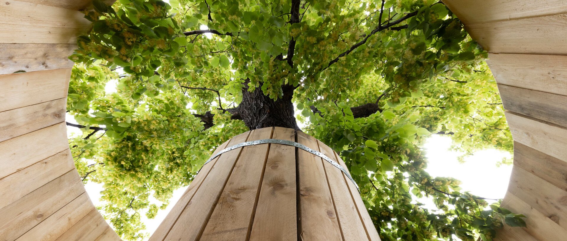 ©ÖBf/eSEL.at-Lorenz Seidler