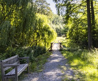 Schlosspark Eckartsau (c)Donautourismus- Friedl und Schmatz