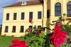 Rote Rosen vor Schloss Eckartsau (c) ÖBf-Archiv/Zeiner
