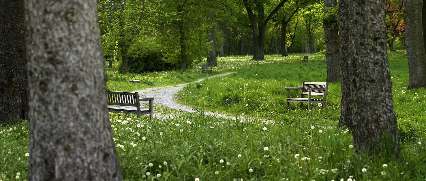 Schlosspark Eckartsau