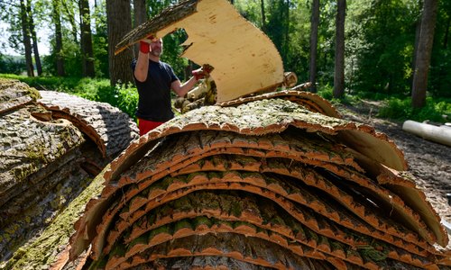 ©ÖBf/Wolfgang Simlinger