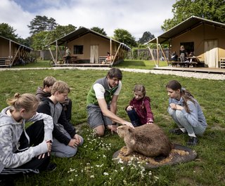 Kinder im Nationalparkcamp Eckartsau (c)Stefan Leitner