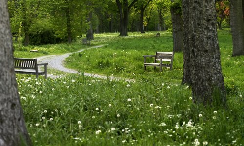 Weg durch den Schlosspark (c) Bundesforste/Haiden Weg durch den Schlosspark - Parkbänke zum Ausruhen