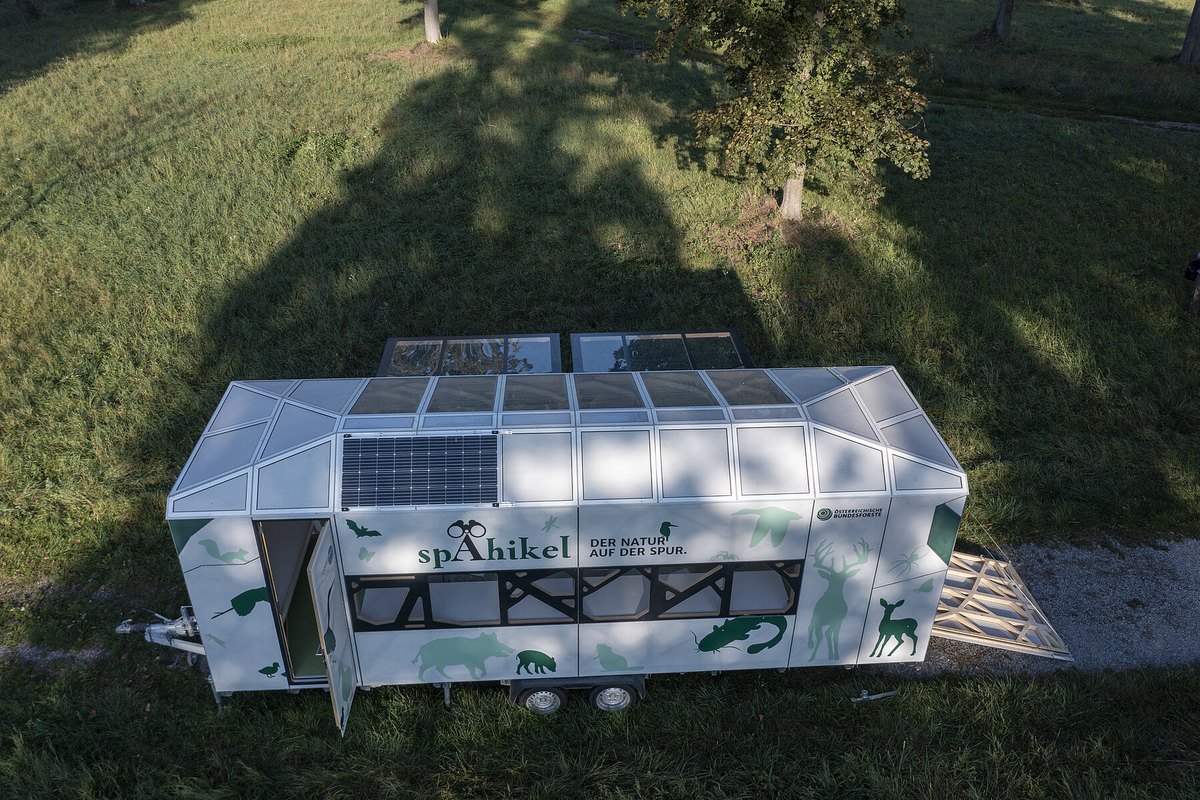 Spähikel (c)oebf/f.kovacs