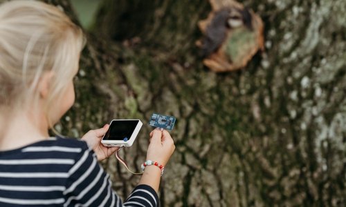 Fledermaus (c)Schnuhz Photography