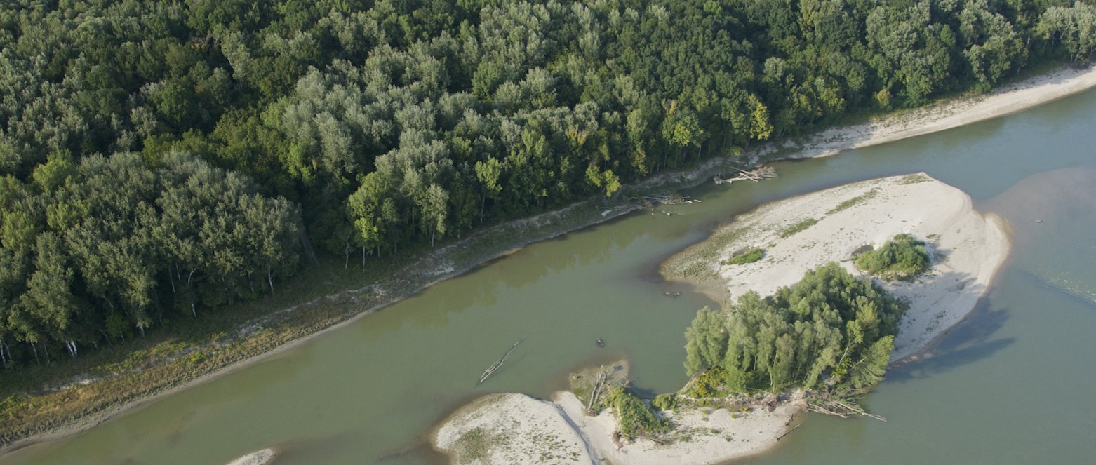 Auenlandschaft im Nationalpark ©ÖBf-Archiv/Kovacs