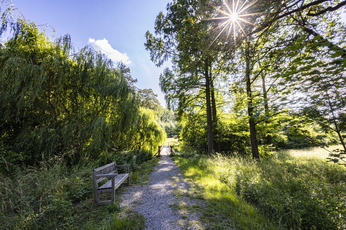 Schlosspark Eckartsau ©Donau Niederösterreich/Friedl und Schmatz Schlosspark Eckartsau ©Donau Niederösterreich/Friedl und Schmatz