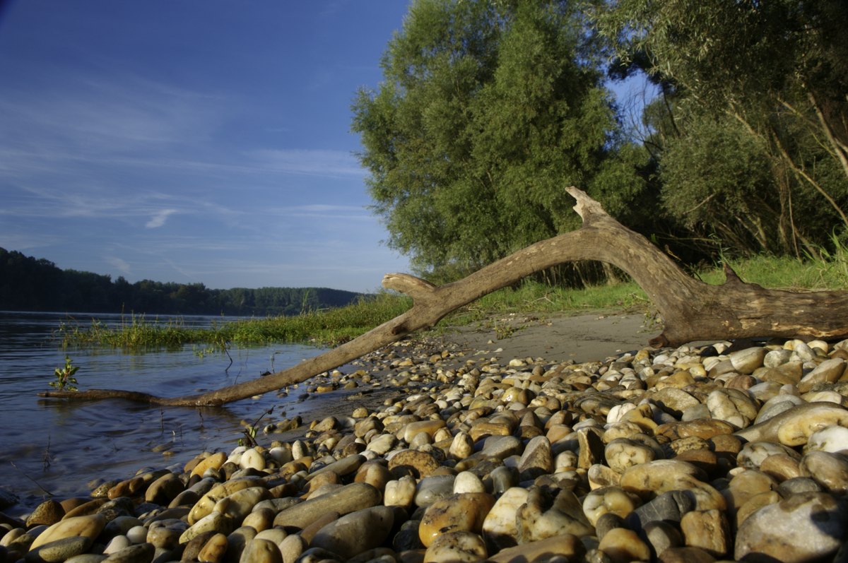 Auenlandschaft ©ÖBf-Archiv/Kovacs