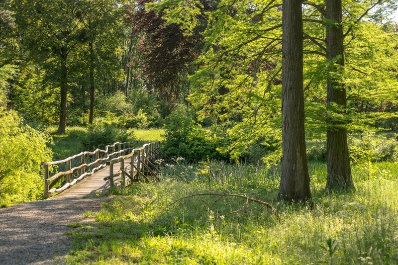 Spaziergang durch ein Gemälde ©ÖBf-Archiv/Podpera